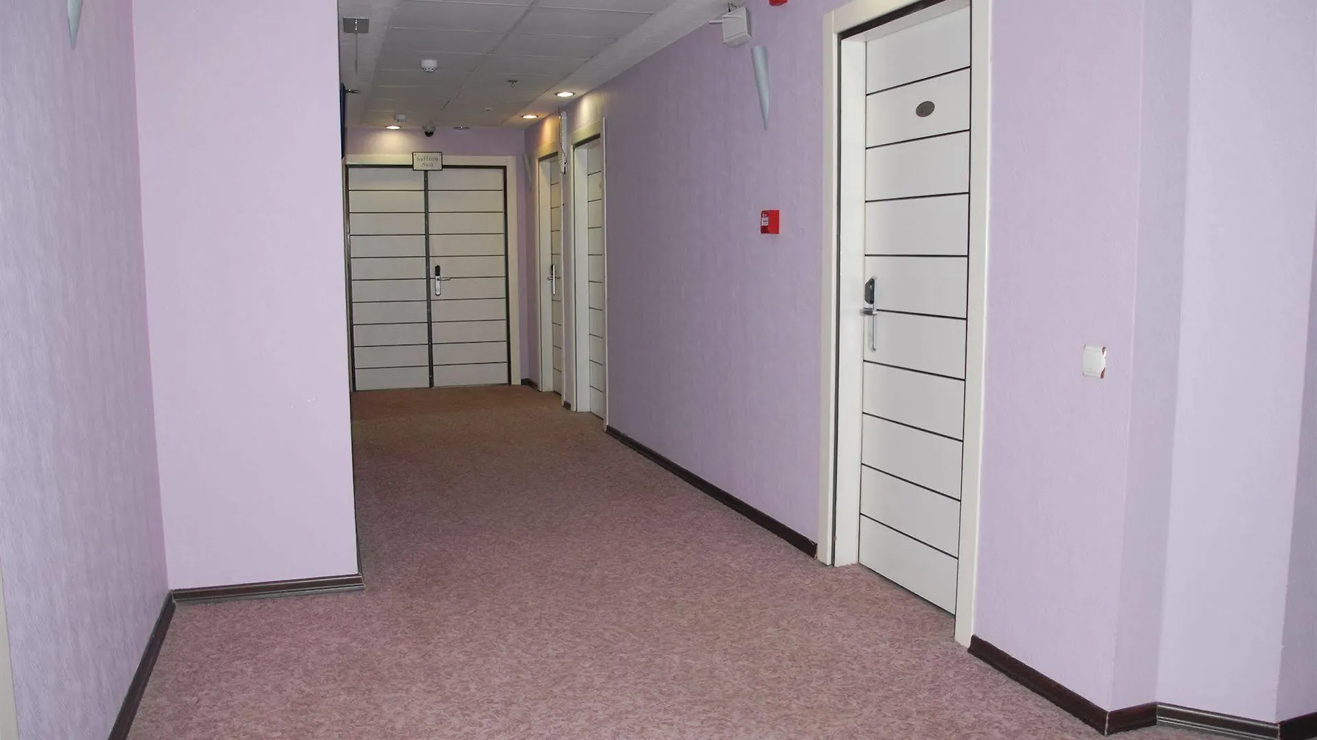 אנקרה Saffron Hotel
